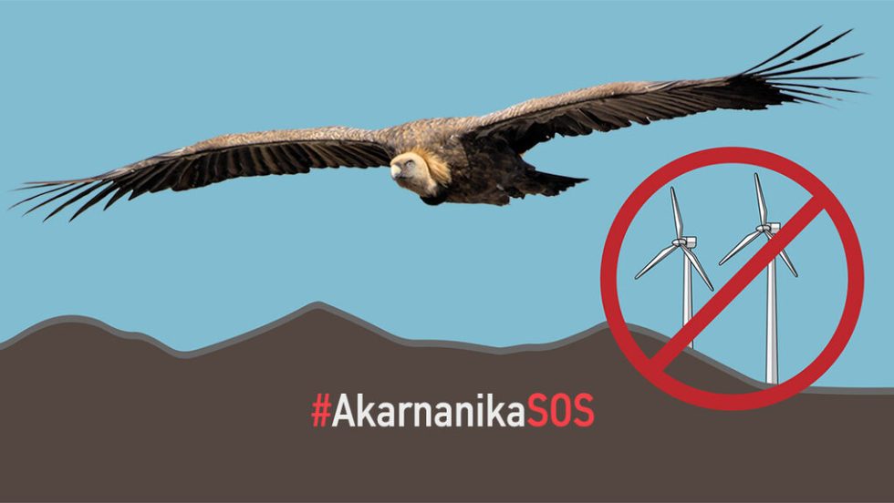 akarnanika sos